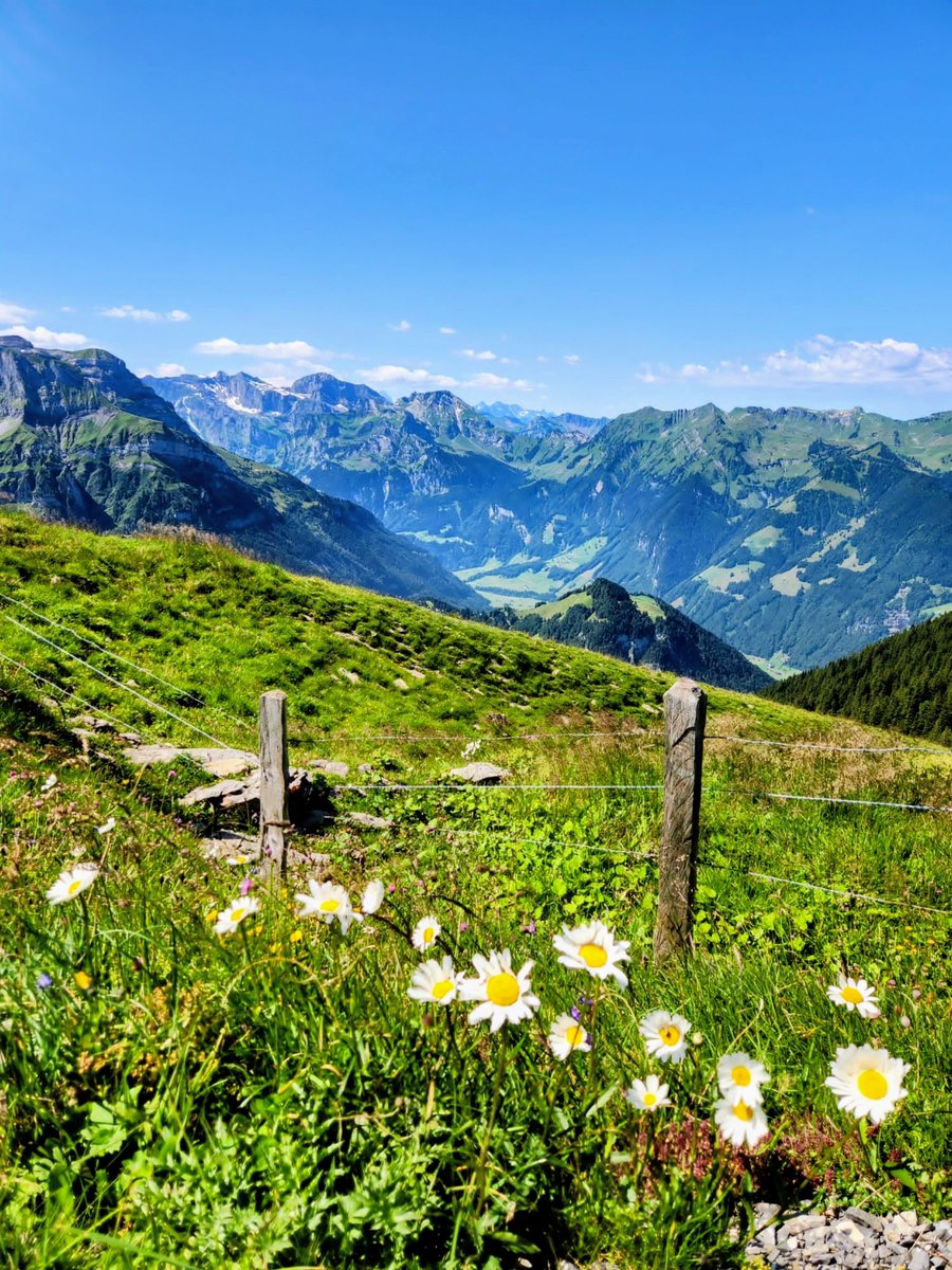 Good morning, Nature-Lovers! Have an amazing day! ⛰️🏔️💯🇨🇭