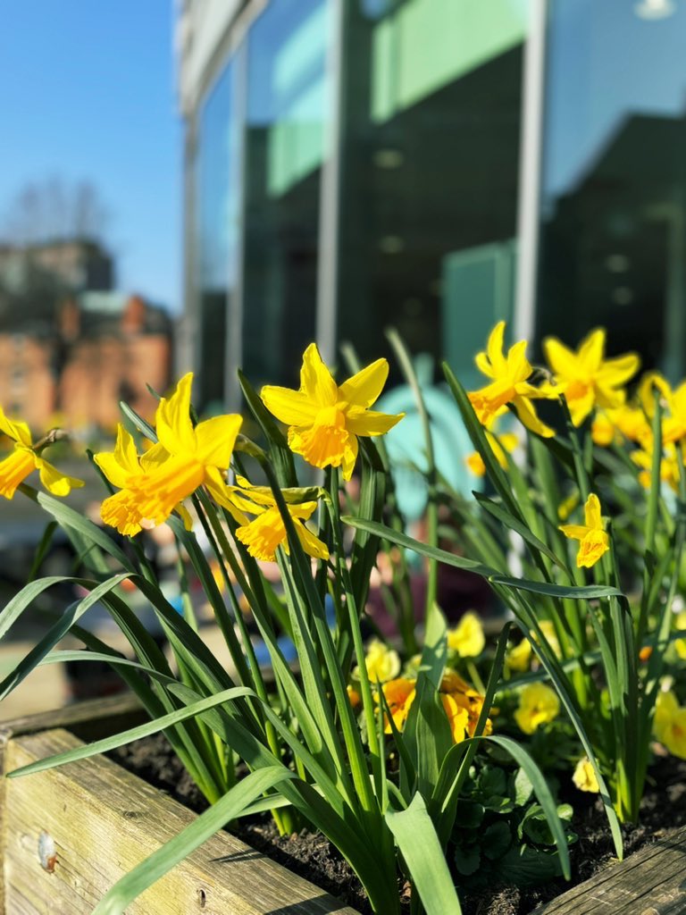 Sarah Almulhim🐝✨ tweet media