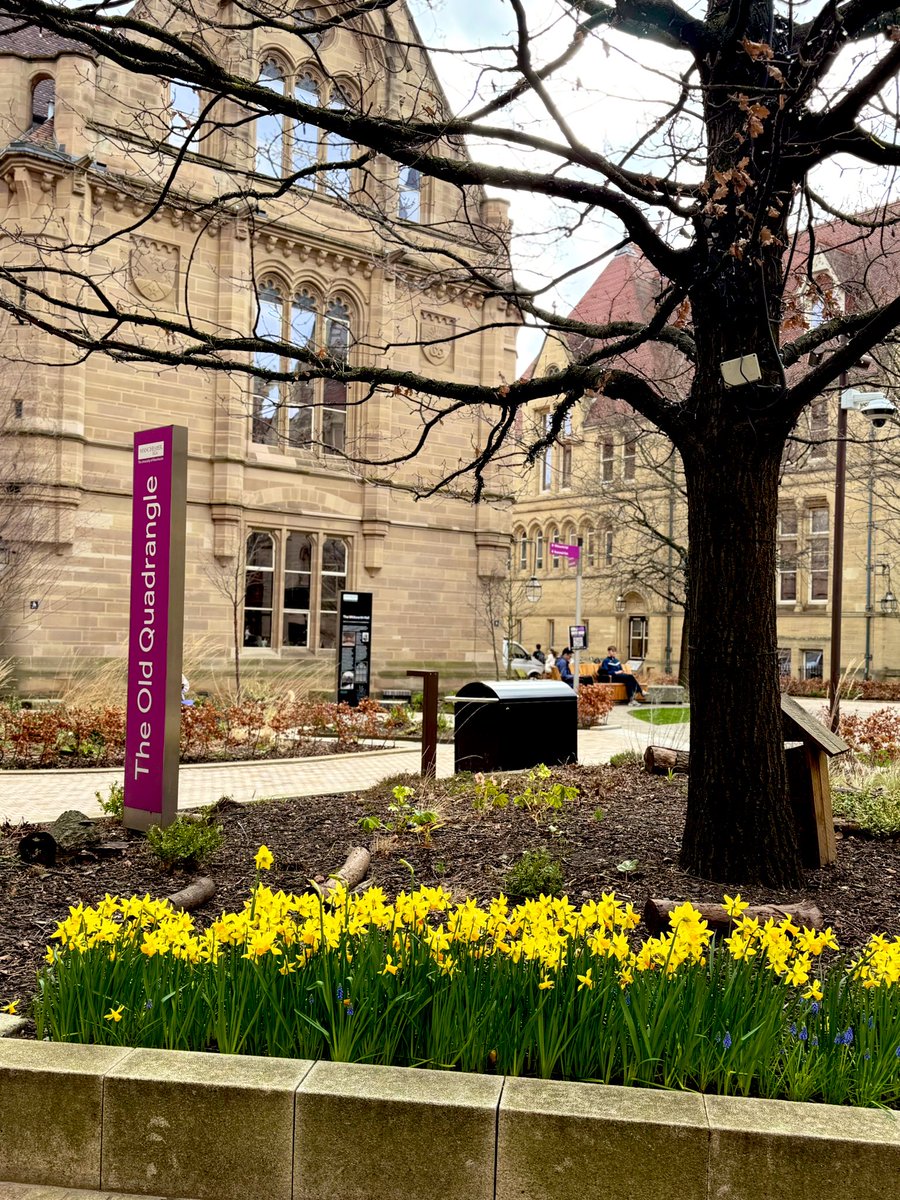 Sarah Almulhim🐝✨ tweet media