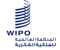 م. عادل الربيع tweet media