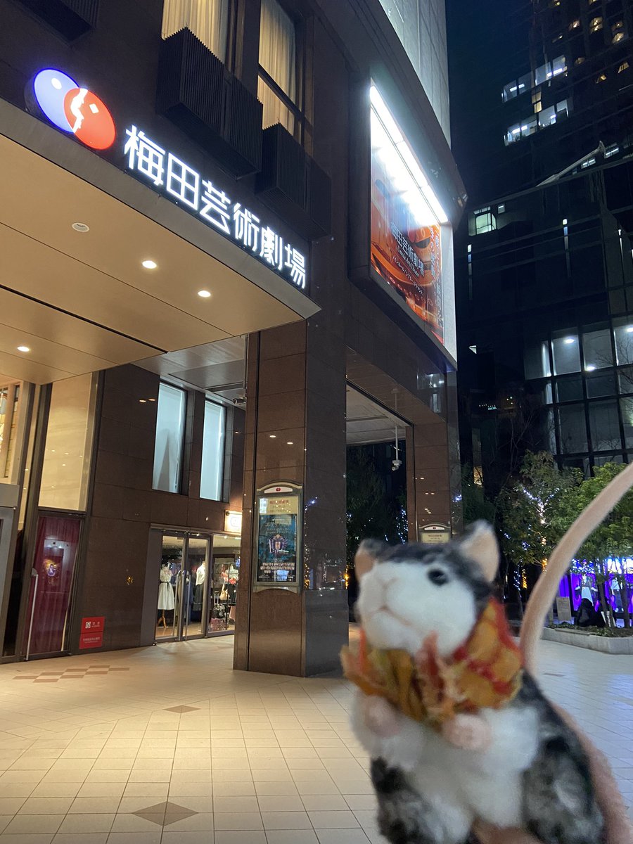 305raysmile's tweet photo. お誕生日おめでとう(^^)
ルドルフ素晴らしかった
死の直前
あんなに踊っていたのね

生きようと
死の罠から逃れようと
もがいて
死　に絡め取られてしまう
泣けたわ😭

2014年のルドルフの時より
ずっとずっと
れいちゃんの中に
うたかたの恋
ルドルフが生きていた
#柚香光誕生祭2026

＃rayyuzuka https://t.co/dXGPCjgOon