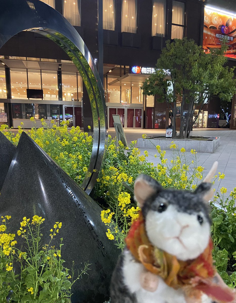 305raysmile's tweet photo. お誕生日おめでとう(^^)
ルドルフ素晴らしかった
死の直前
あんなに踊っていたのね

生きようと
死の罠から逃れようと
もがいて
死　に絡め取られてしまう
泣けたわ😭

2014年のルドルフの時より
ずっとずっと
れいちゃんの中に
うたかたの恋
ルドルフが生きていた
#柚香光誕生祭2026

＃rayyuzuka https://t.co/dXGPCjgOon