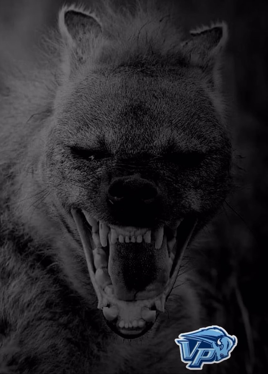 Marquise Enoch tweet media