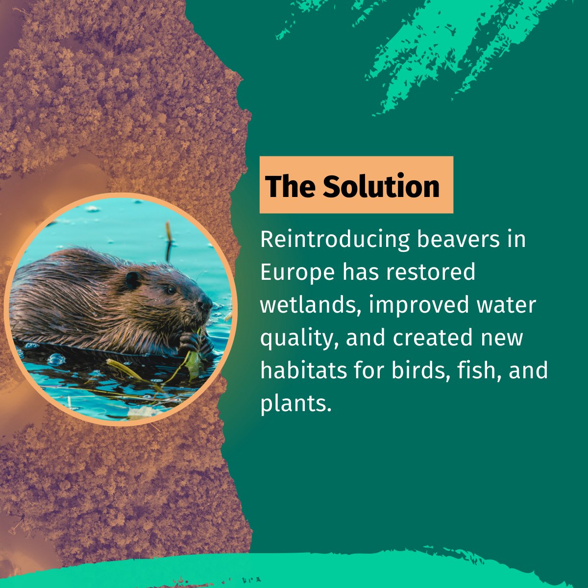 RESTOREID tweet media