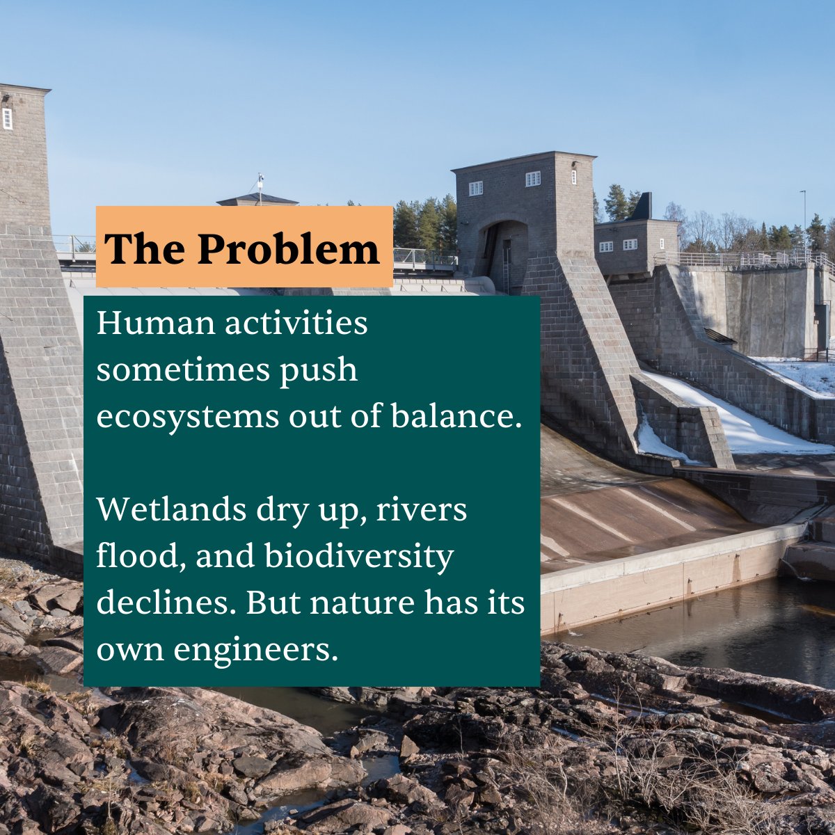 RESTOREID tweet media