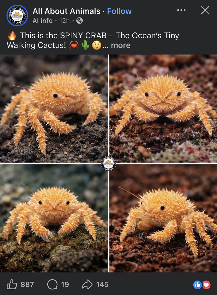 nvolpewild's tweet image. Waking up to more monetising AI animal slop on Facebook that everyone thinks is real…