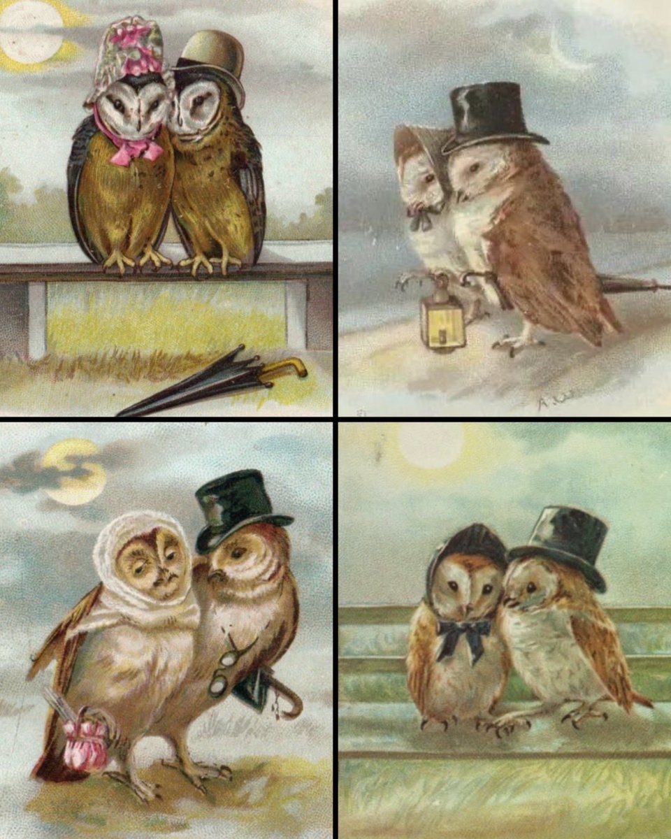 TitaniasRealm's tweet photo. Owl couples on Victorian postcards https://t.co/Wlnn5ZLNzA