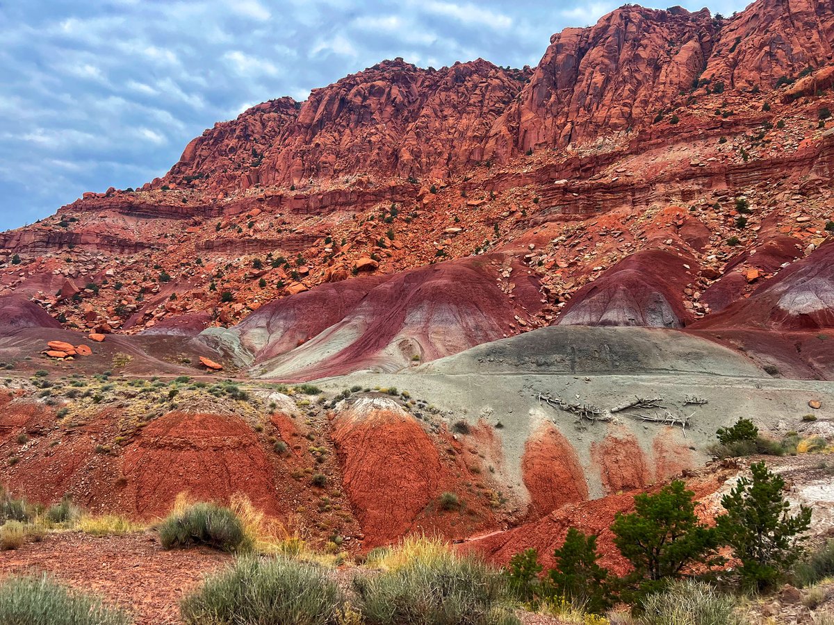 TimyNerdG's tweet image. This is from our last visit to see family in Wayne County. It's incredibly beautiful but extremely rural. Very little crime, and pretty much everyone knows everyone. Praying this person is caught soon.