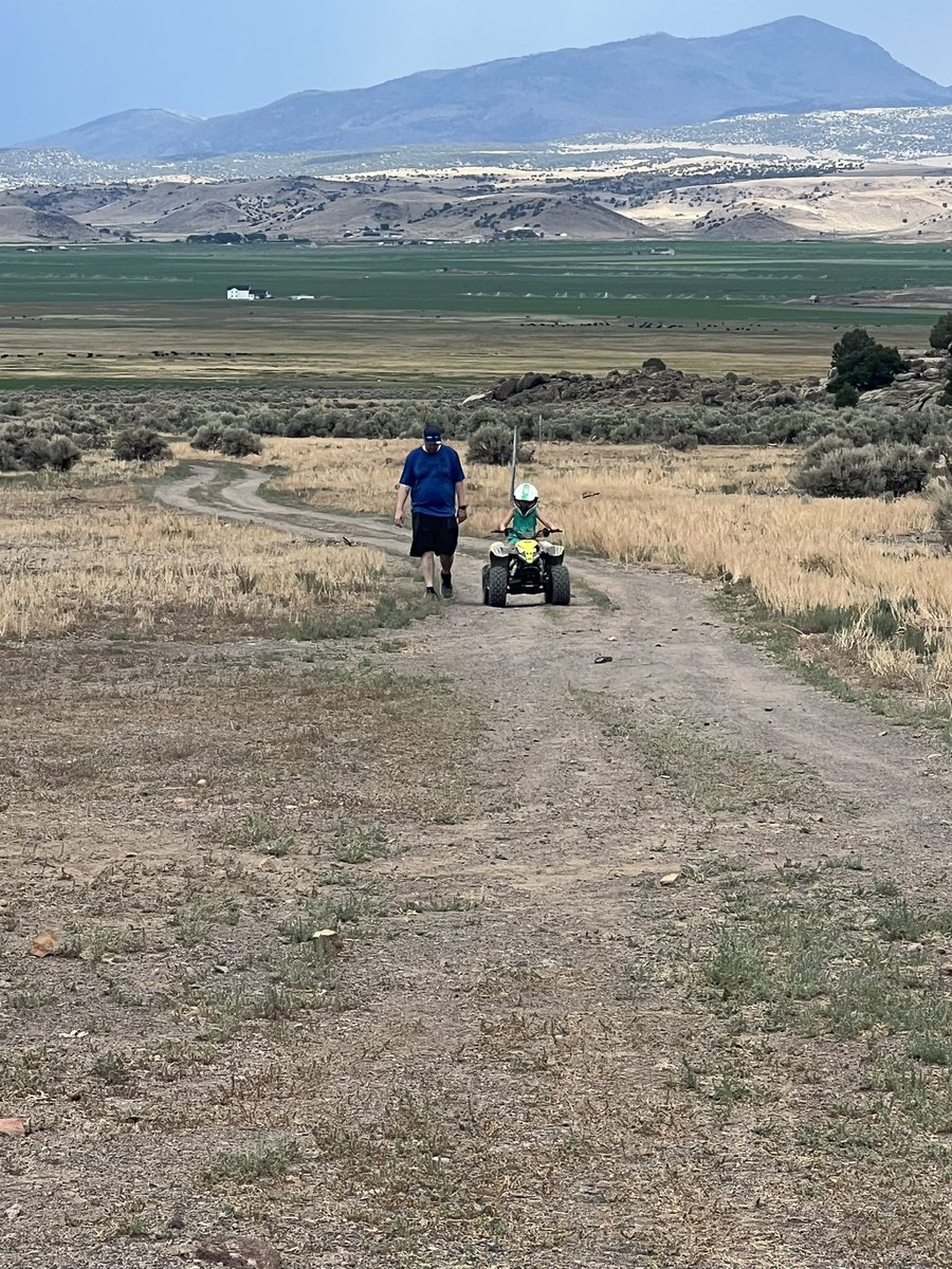 TimyNerdG's tweet image. This is from our last visit to see family in Wayne County. It's incredibly beautiful but extremely rural. Very little crime, and pretty much everyone knows everyone. Praying this person is caught soon.