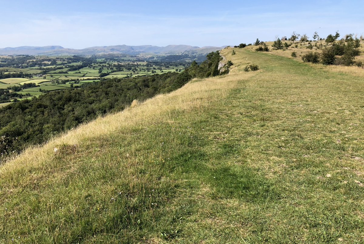 Bumped into Chris Hope as he headed for Scouts Scar (near Kendal) on Weds March 4th. Agreeable chap, apparently works for GBNews. Trust he enjoyed the views.
<a href="/christopherhope/">Christopher Hope📝</a>