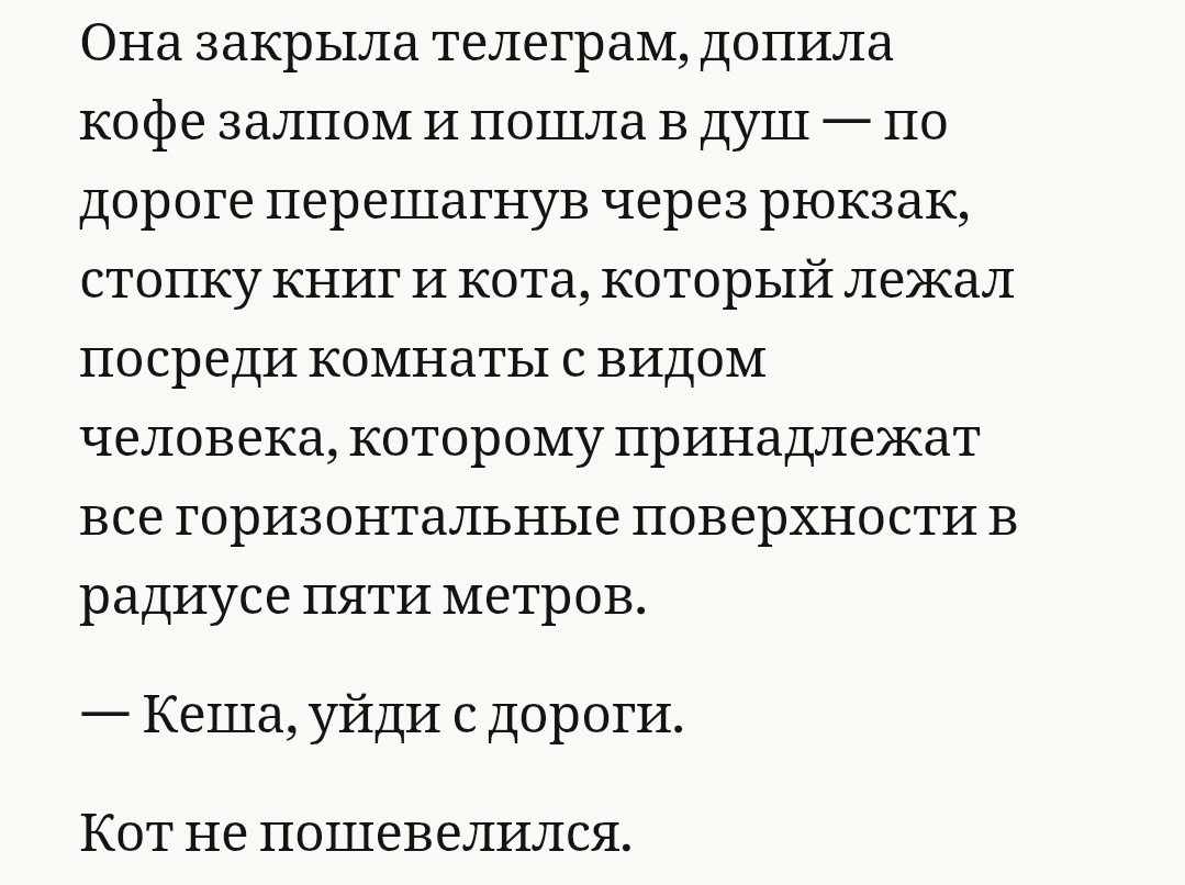 Порриджи, сдавайтесь! ♡ tweet media