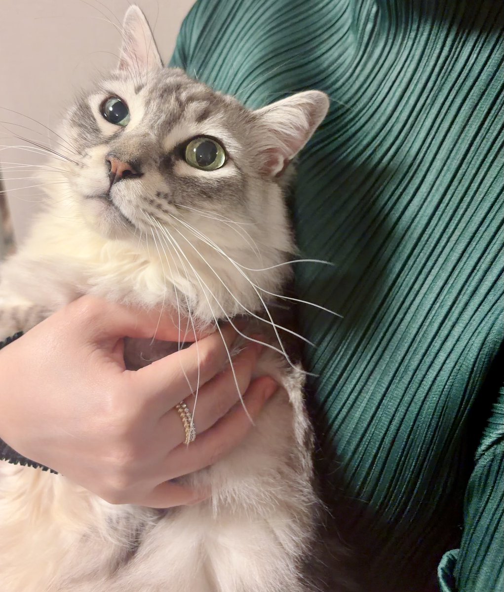 なお@ホットクックレシピ (@nao_daily365) / Posts and Replies / X