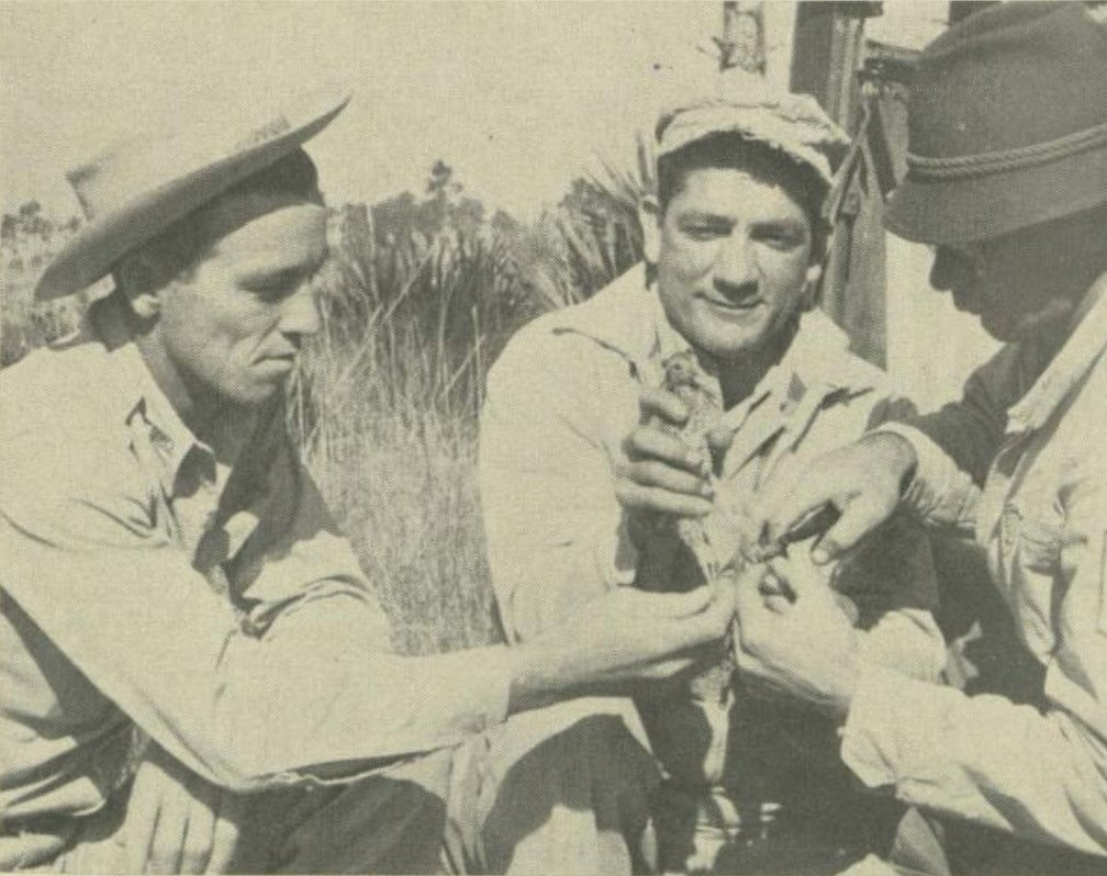 In 1946, the Florida Game and Fresh Water Fish Commission employed its ...