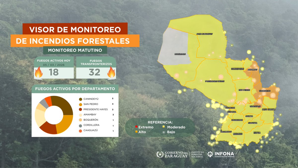 Instituto Forestal Nacional del Paraguay tweet media