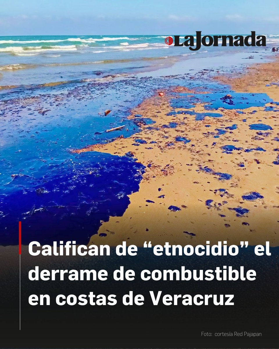 La Jornada tweet media