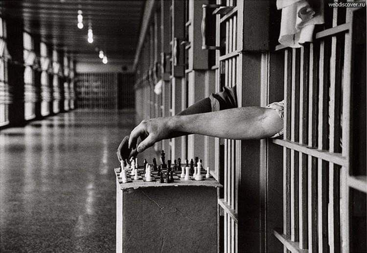 Alquimia tweet media