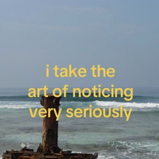𝓁𝒾𝓁𝓎. (@iridescelily) on Twitter photo 