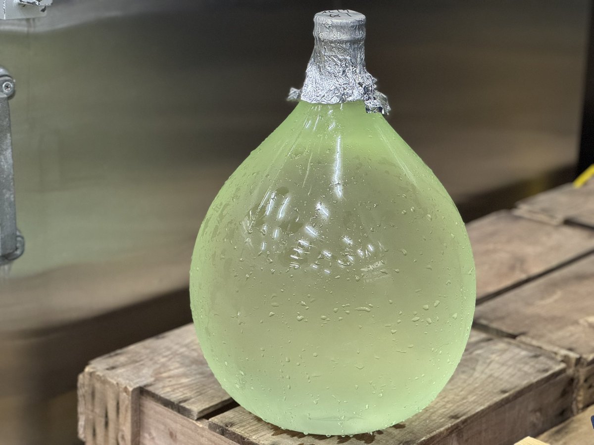 浦里知可良@浦里酒造店 六代目蔵元 tweet media