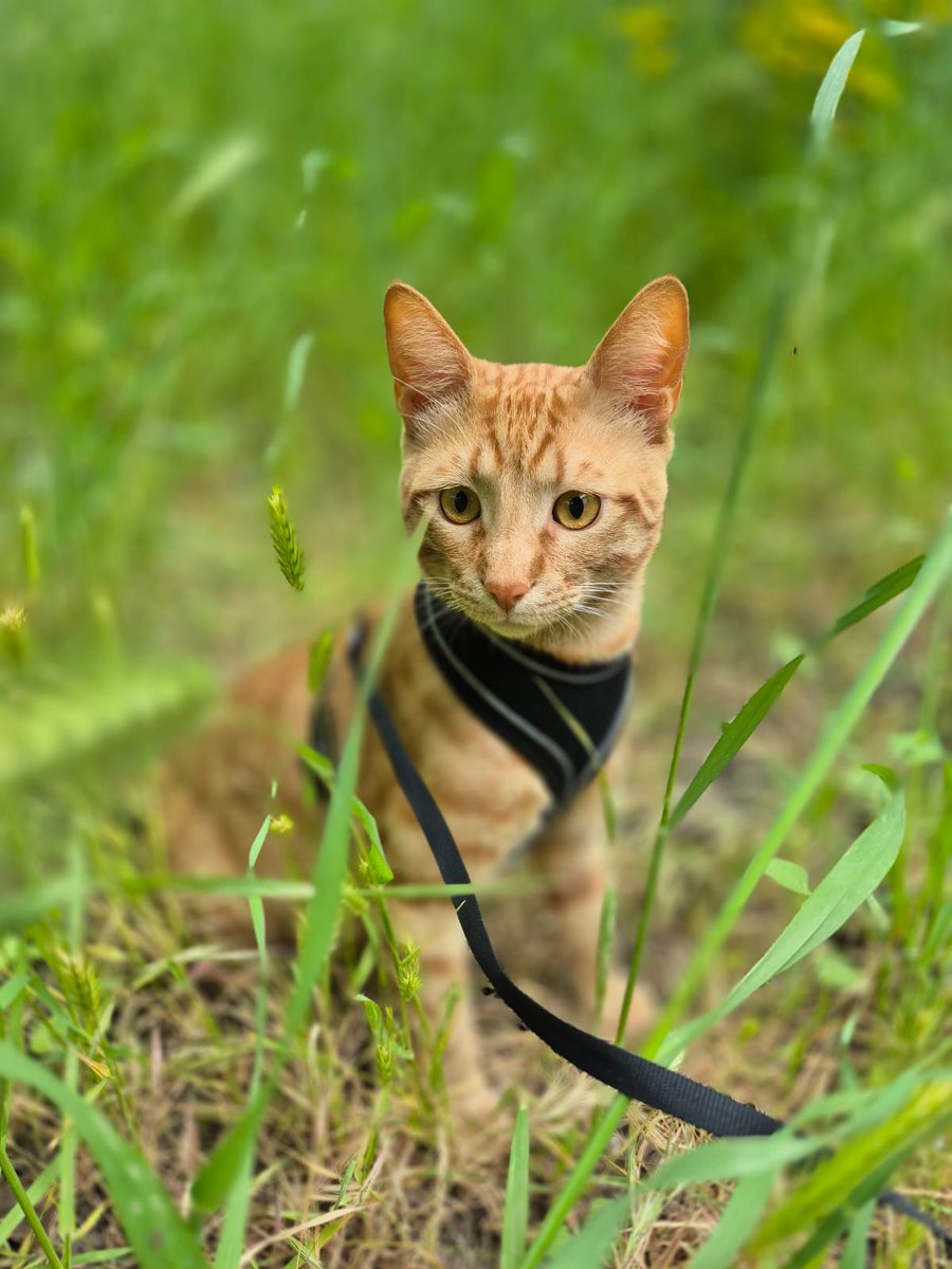 🚍 кαρтαи 🚍 tweet media