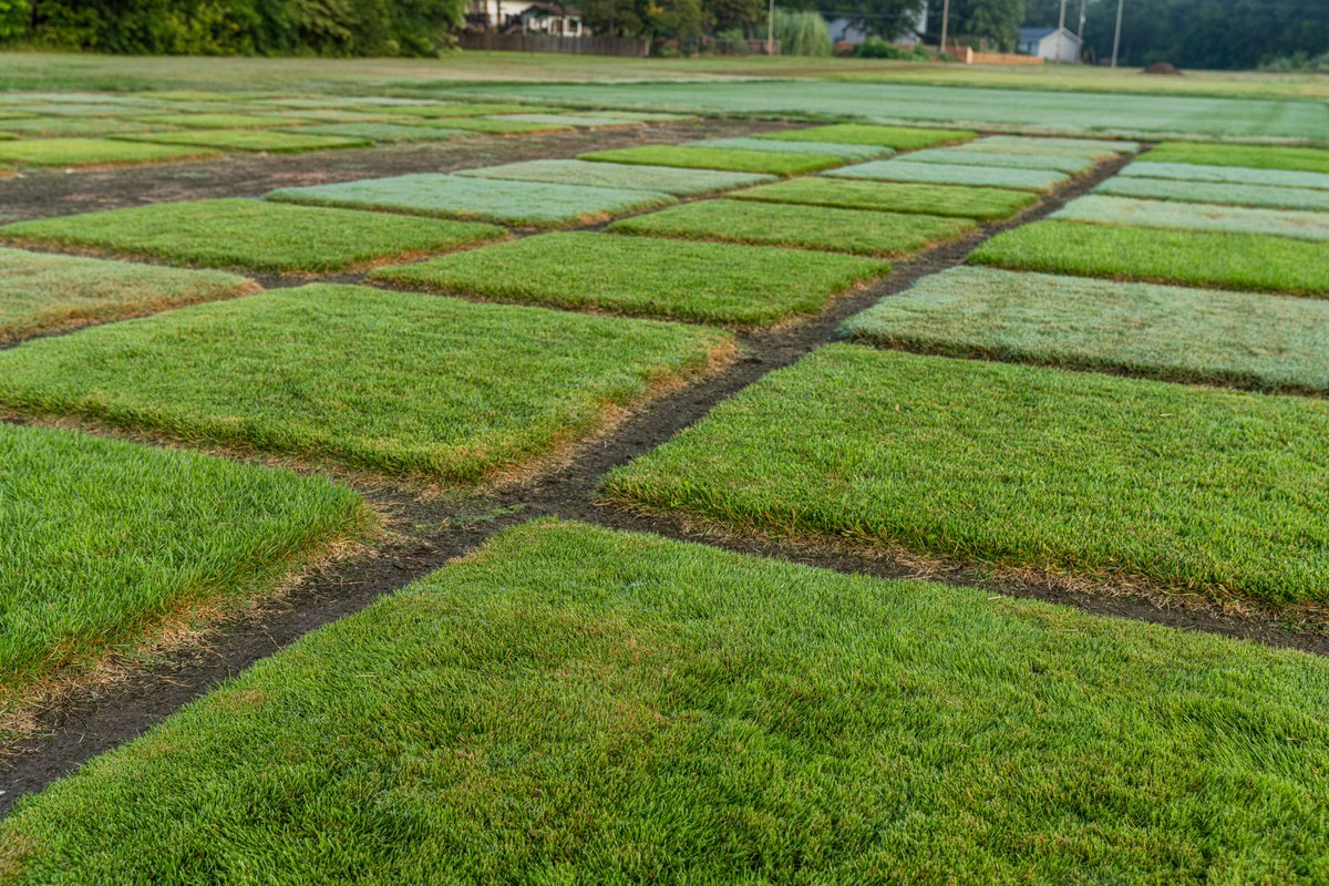 K-State's Turf and Landscape Management Team tweet media