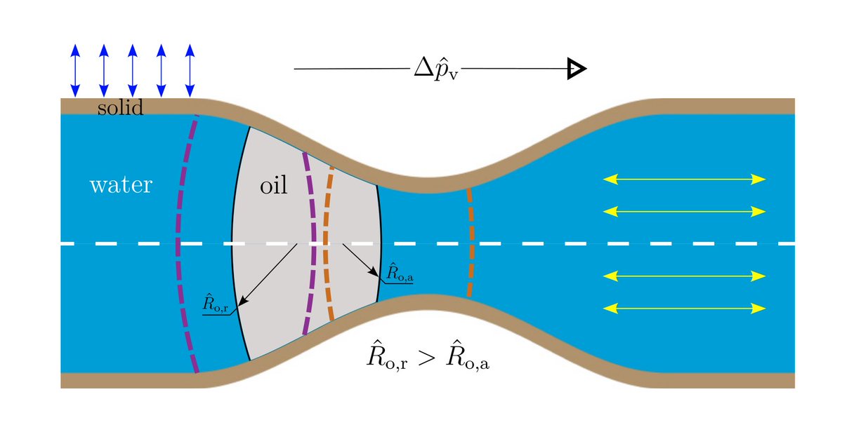 Physical Review Fluids tweet media