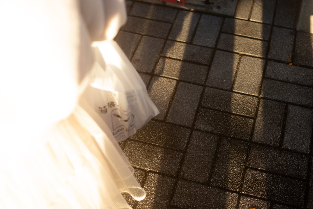 kagetora tweet media