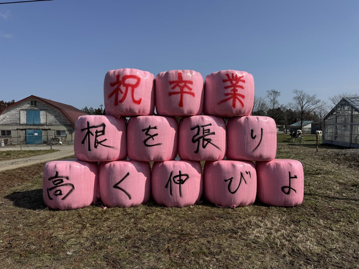 acchan_su's tweet photo. ３月１日のことですが、加美農業高校の卒業式に来賓として出席してきました。

実質１年ちょっとでしたが、逞しく成長した姿を見���ことができて大変嬉しい時間でした。

これからも、学校教育や地域連携活動に携わっていきたいです。

#鳥獣 https://t.co/NRvuziPrBJ