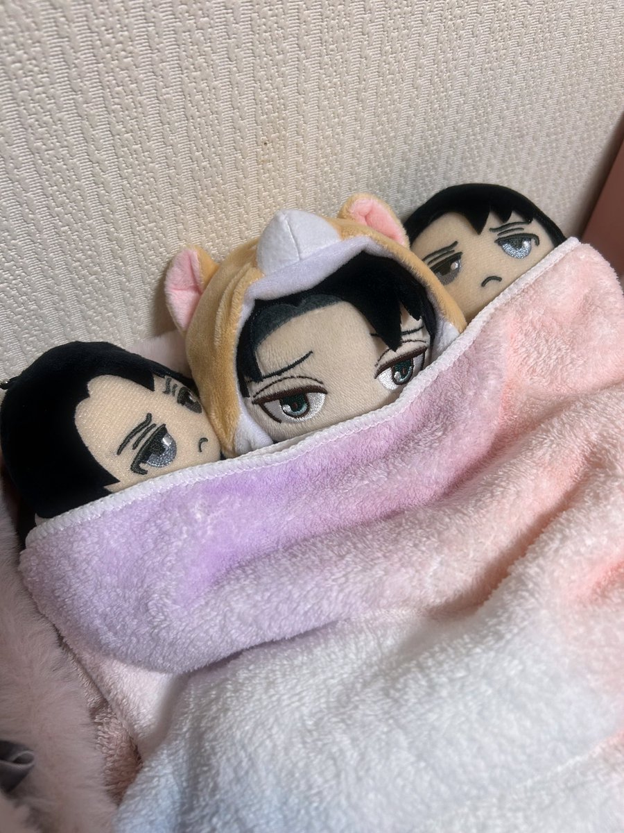 𝕜𝕠𝕥𝕠𝕟𝕠𝕙𝕒 tweet media