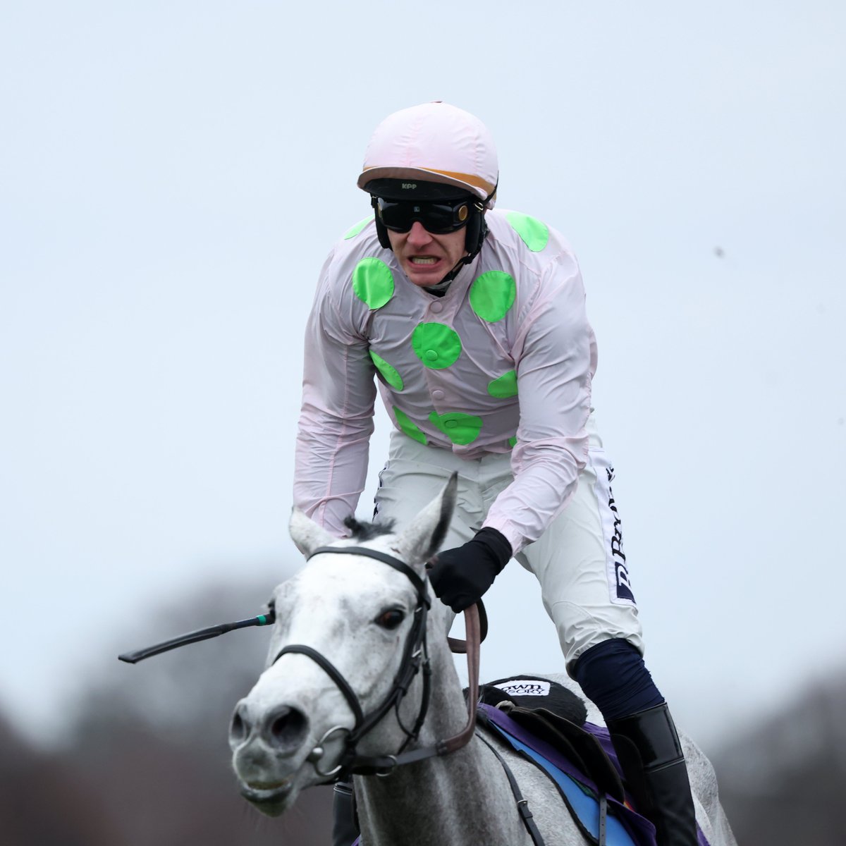 At The Races tweet media