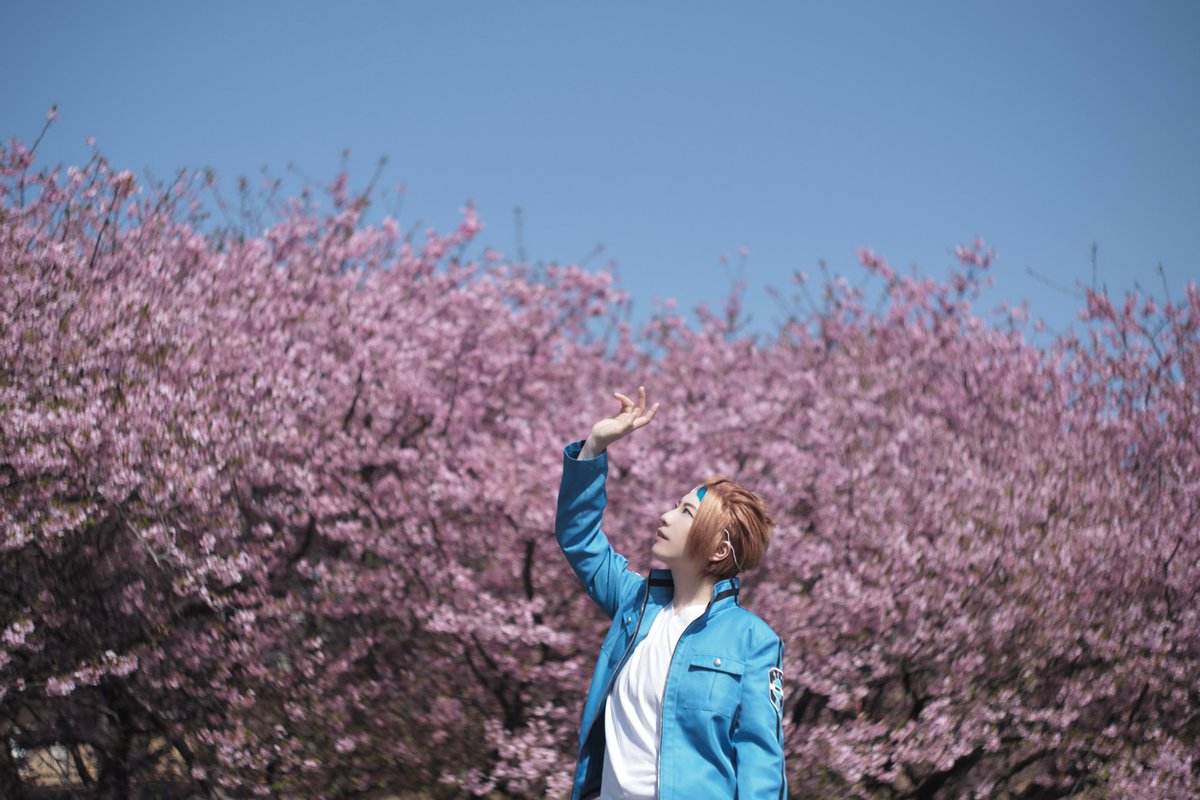 茜紅(せんこう) tweet media