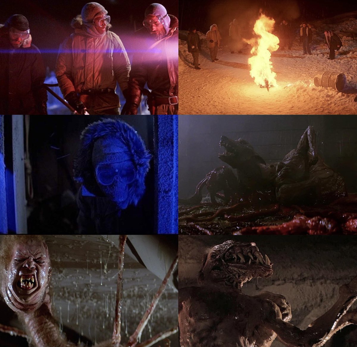 The Thing: OP31 (☥𝐃𝐁) tweet media