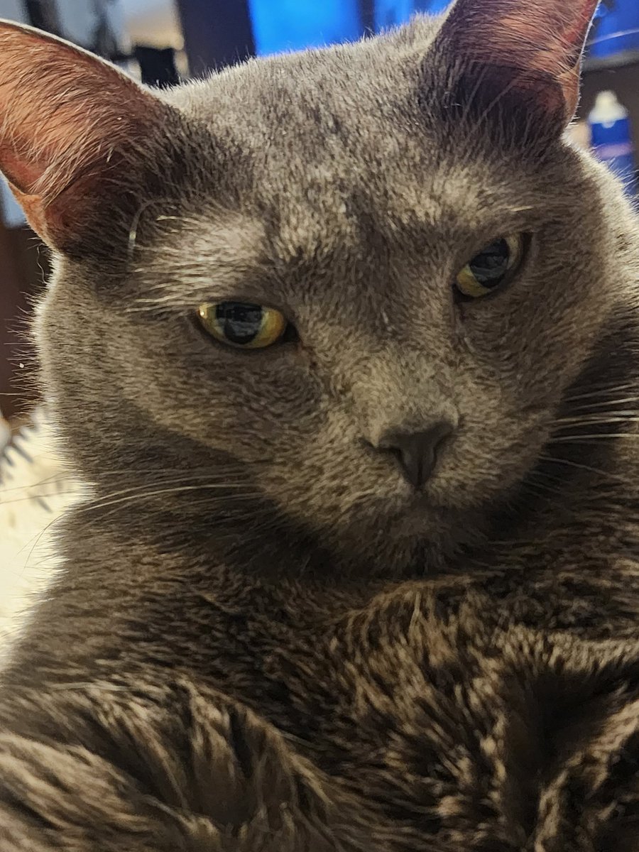 edavis2011's tweet photo. My boy.
https://t.co/fjdeN5ckgP https://t.co/nzB3b8Ey6X