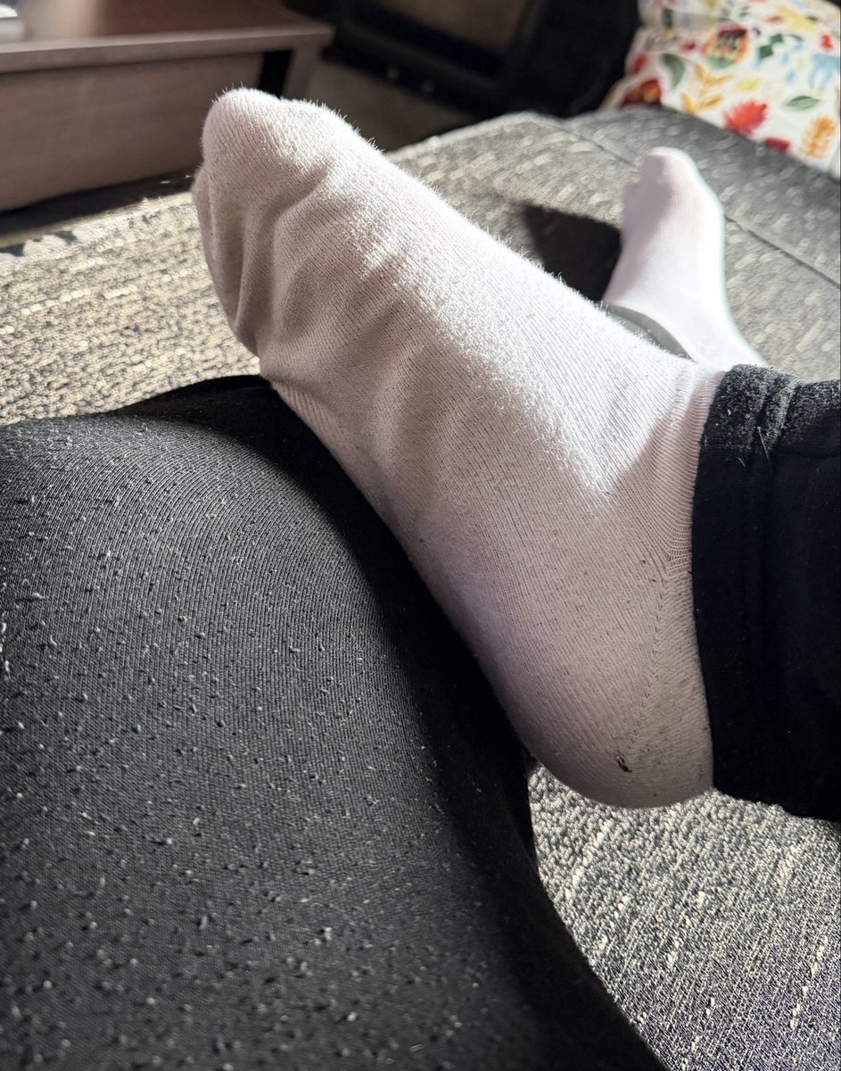 SnifferSox's tweet photo. Come put your nose in there 👃🧦 https://t.co/XeCDQjH0LR
