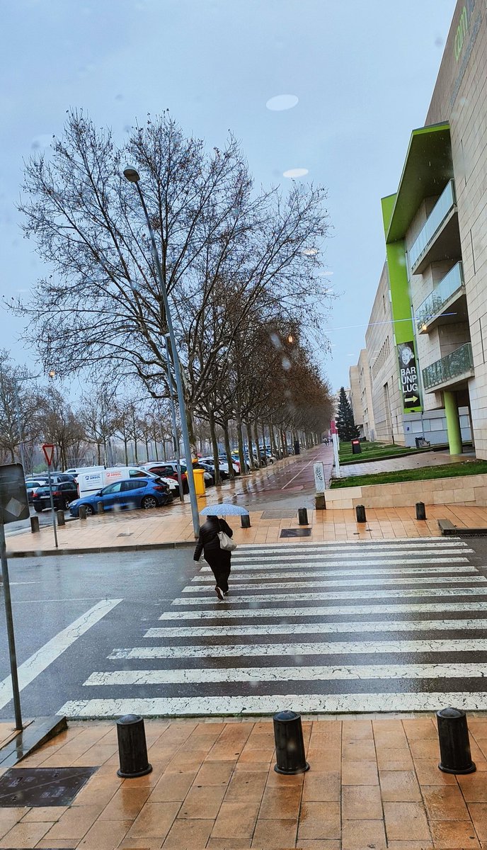 xaviersole's tweet photo. ☔Lo Campus de #Cappont sota la #pluja @UdL_info 

#Lleida #hivern #ciutat #colors #universitat https://t.co/YCXB13rBqv