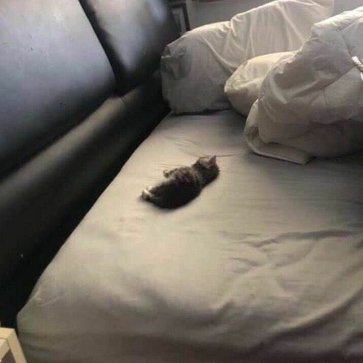 AnastasiaaaAaaAaAaAaAAaaAAaAAaaAaAaaAaAAaAaaAAaAa. tweet media