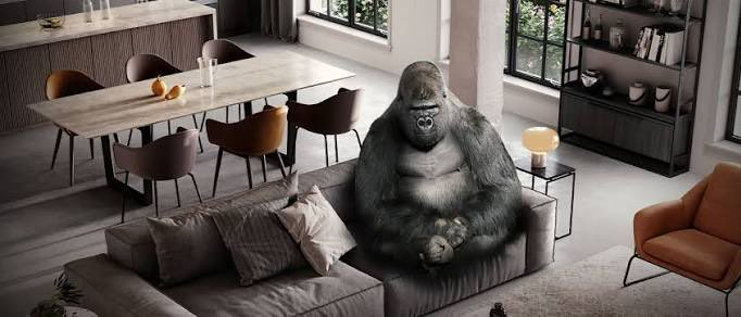 BIGMAMA CHE NELLA CAMERA D ALBERGO A DUBAI, ATTENDE DI ESSERE SALVATA DAL GOVERNO ITALIANO