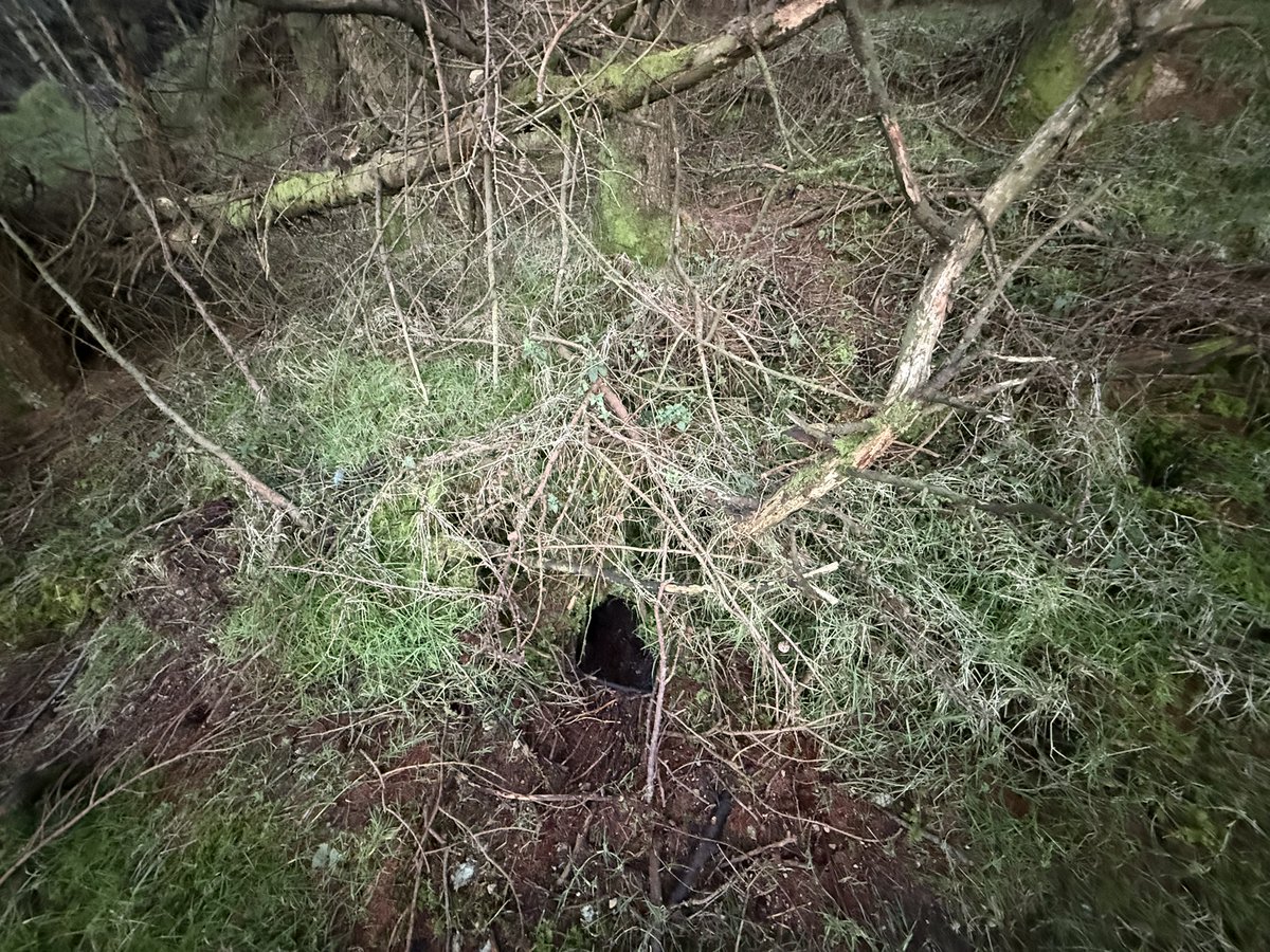 SavetheHellfire tweet media