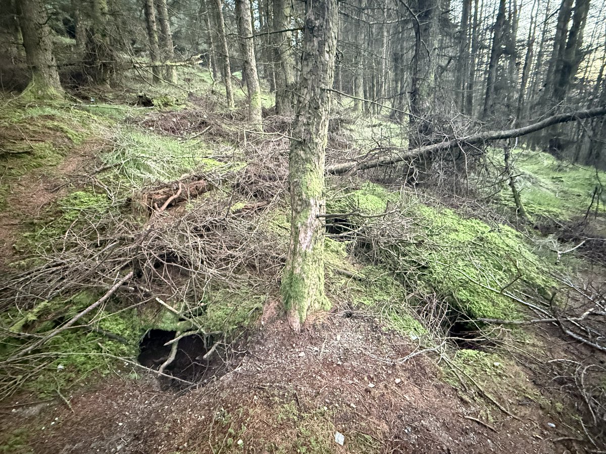 SavetheHellfire tweet media