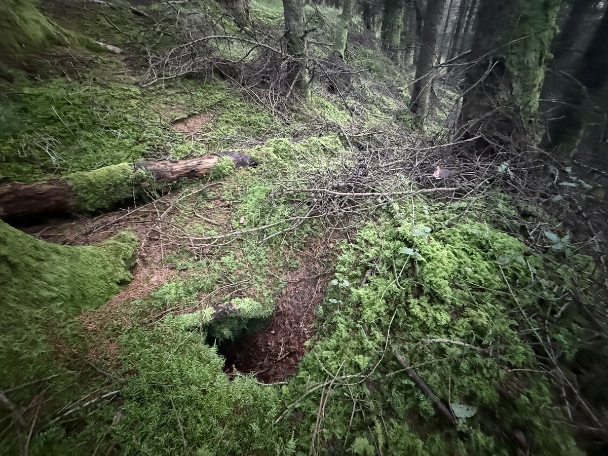 SavetheHellfire tweet media