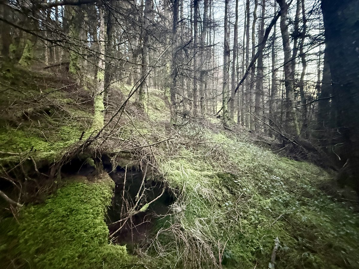 SavetheHellfire tweet media