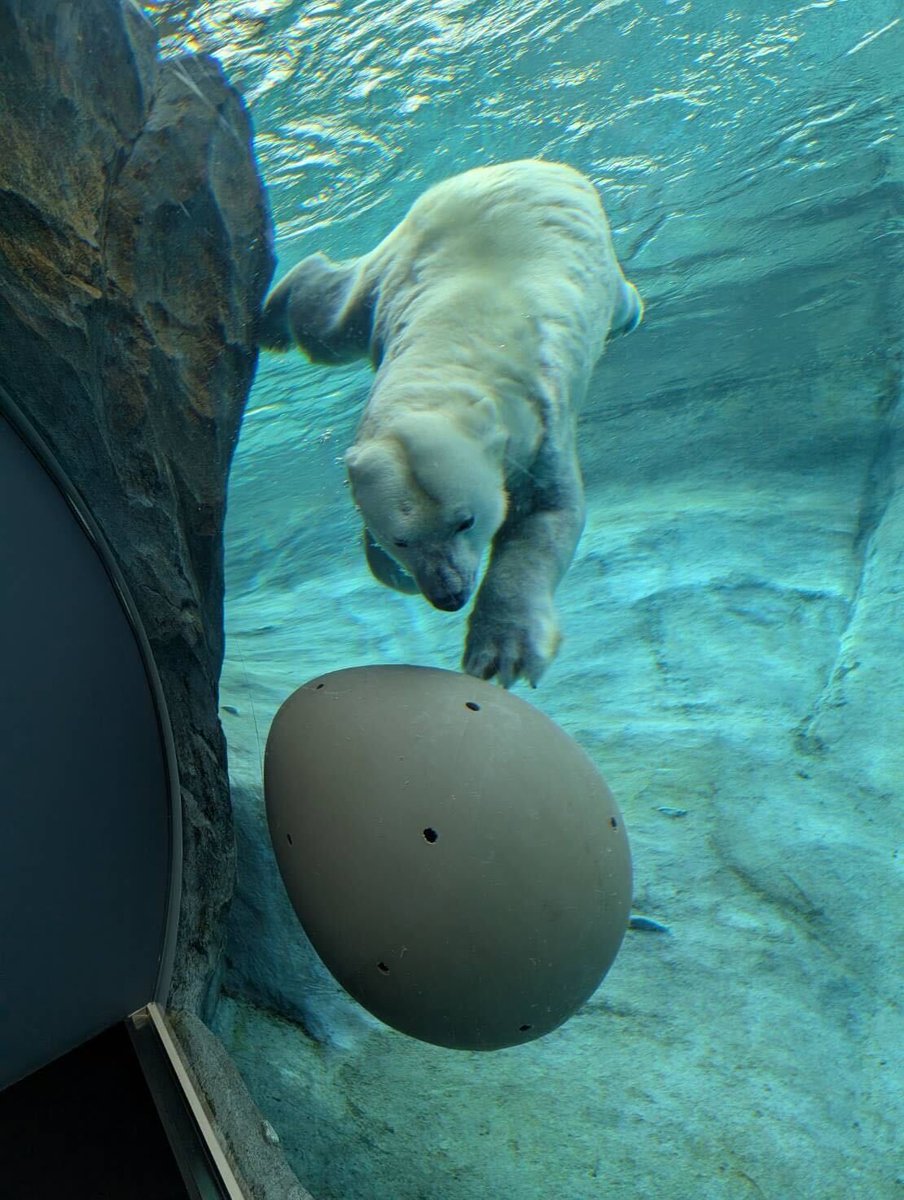 命と自然の学生基地 tweet media