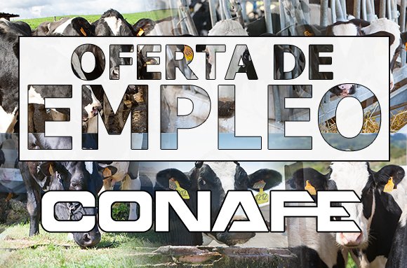 CONAFE - Frisona Española tweet media