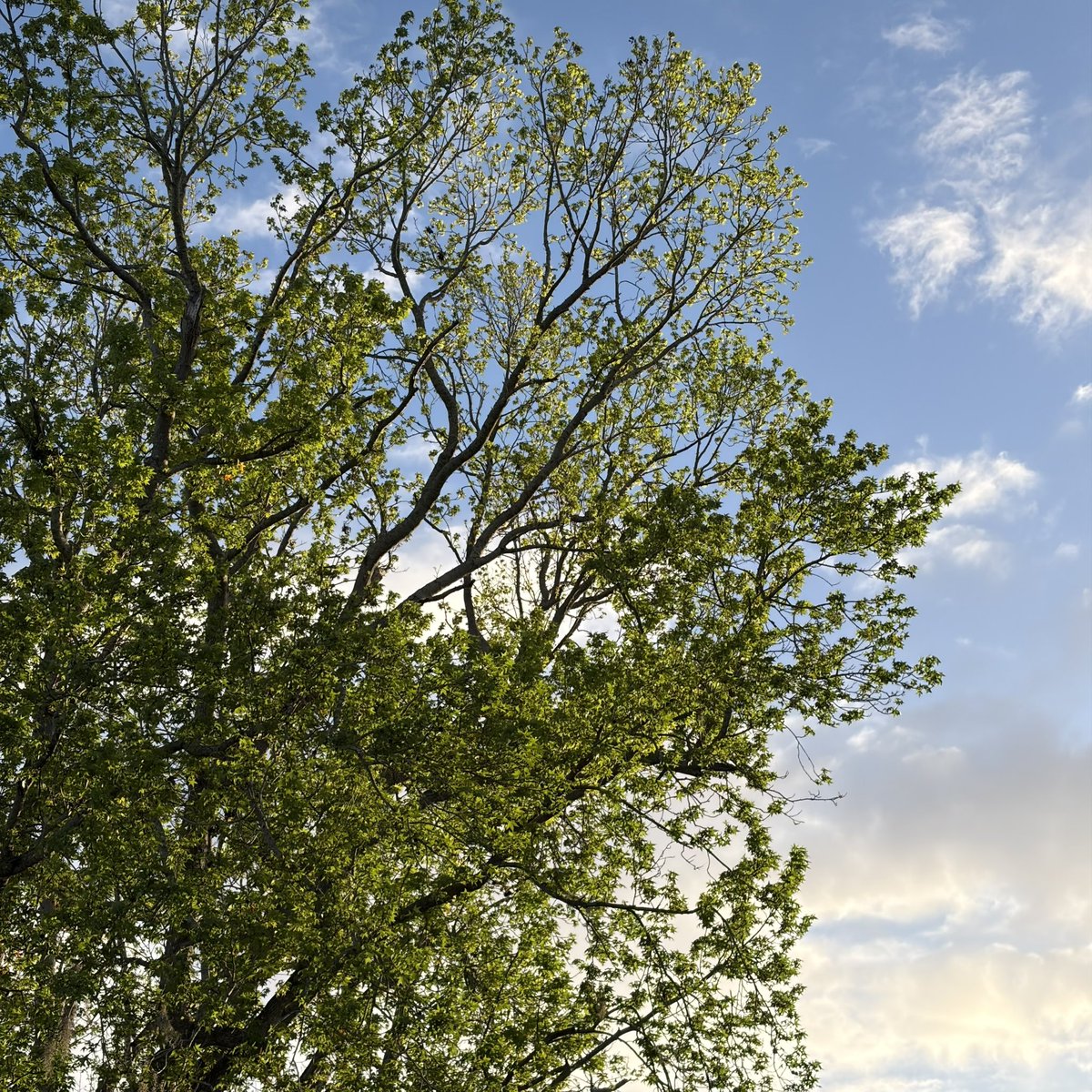 Andrew Clare tweet media