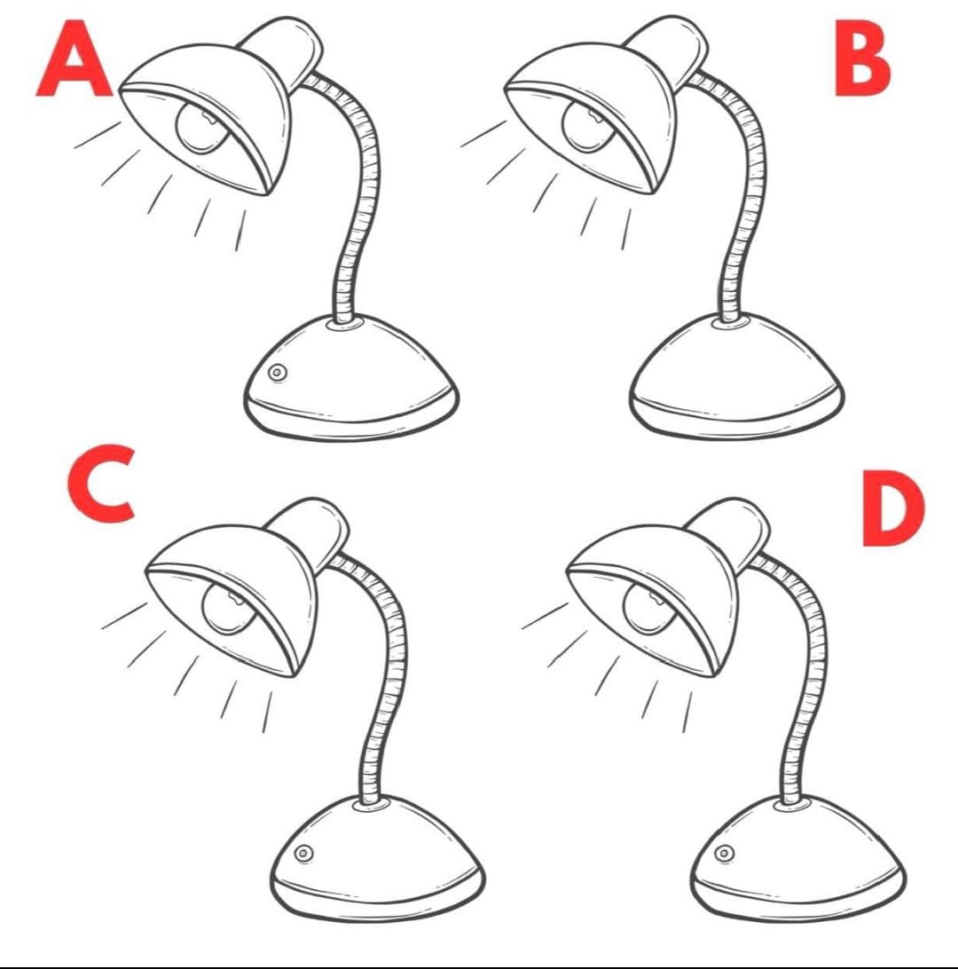 Anfal🦋 tweet media