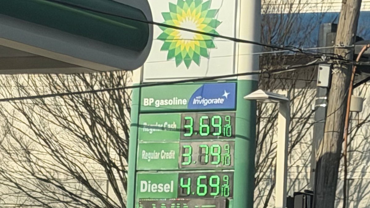 steven prediletto tweet media