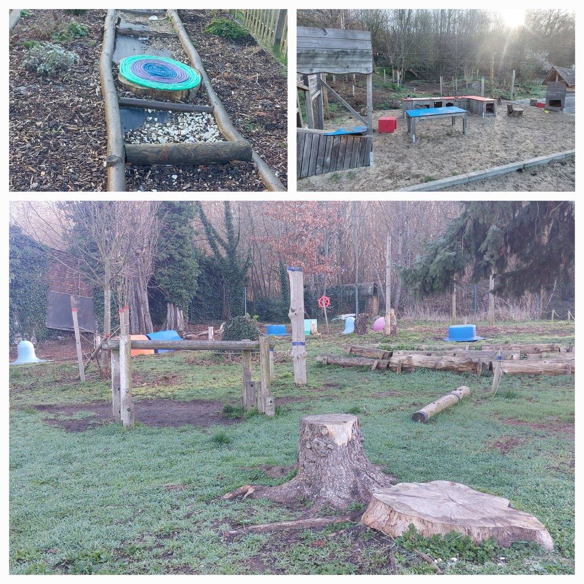 Irene Street tweet media