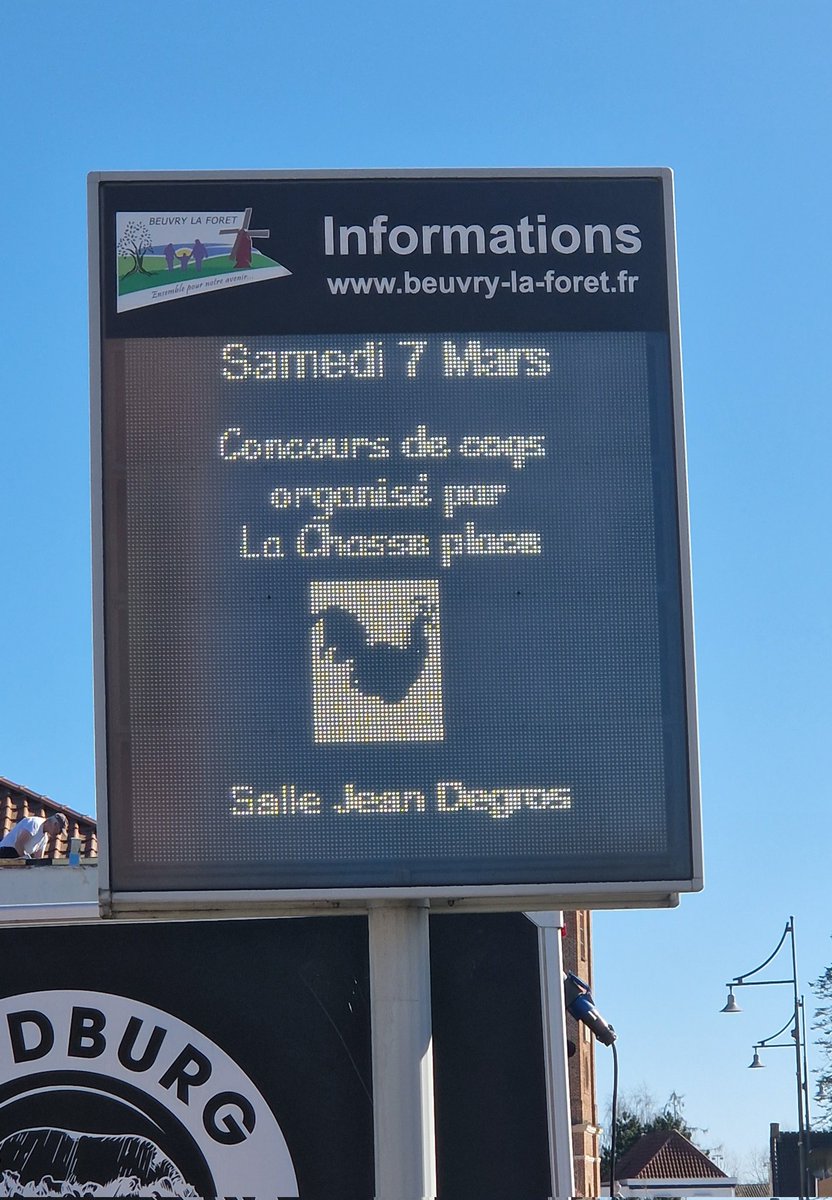 Sabine VG BCK Ⓥ🌻🇺🇦🐾🪶 tweet media