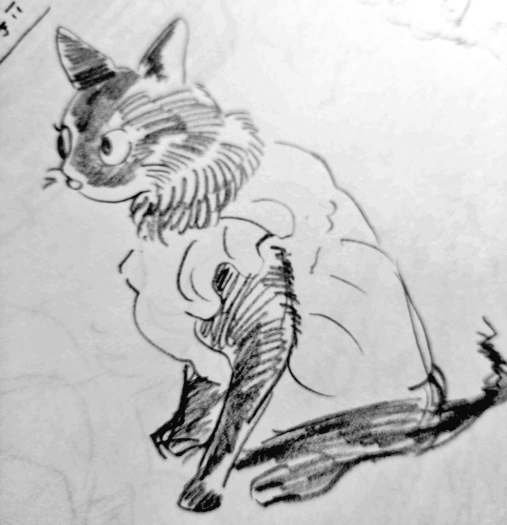 くま子 (@kuma8j) / Posts / X