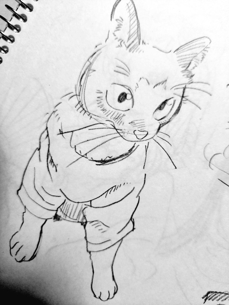 くま子 (@kuma8j) / Posts / X