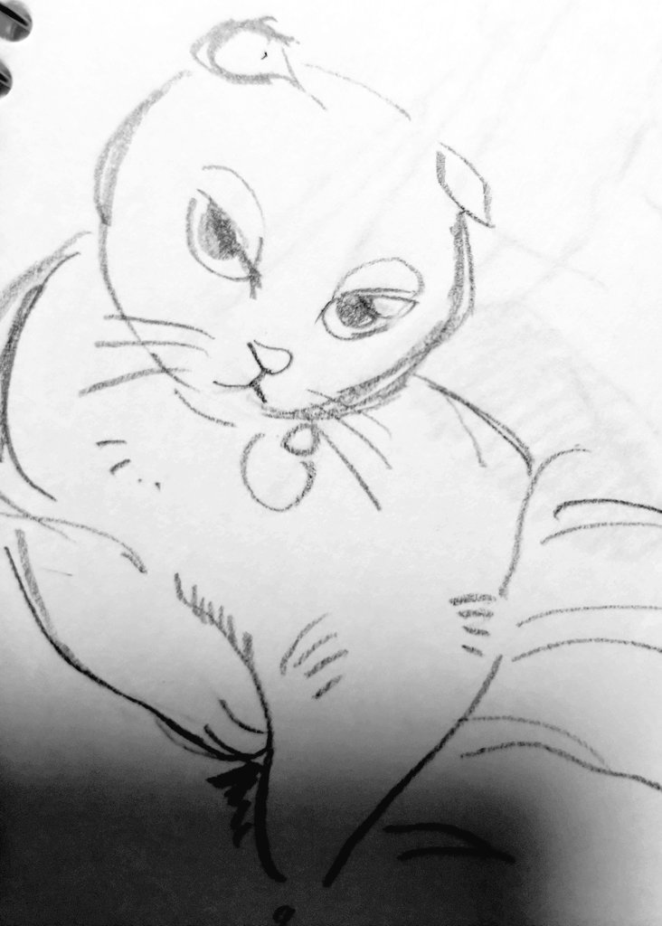 くま子 (@kuma8j) / Posts / X